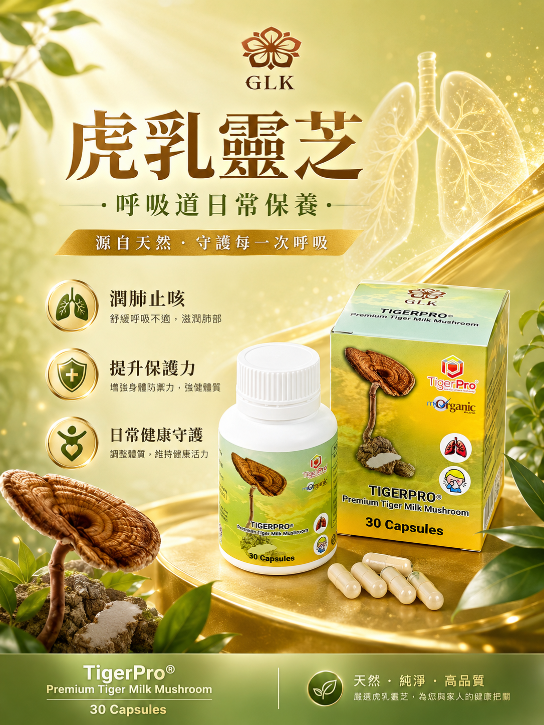 虎乳靈芝® Premium Tiger Milk Mushroom