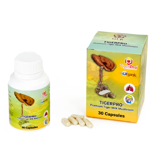 虎乳靈芝® Premium Tiger Milk Mushroom